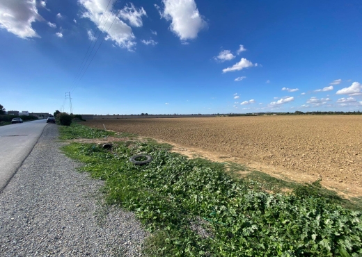 un superbe terrain agricole à sidi thabet - Bien immobilier à {"id":1,"country_id":219,"name":"ARIANA","slug":"ariana"} - Agence Immobilière immo\'in