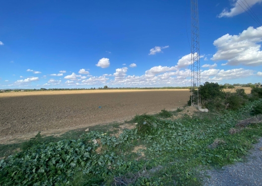 un superbe terrain agricole à sidi thabet - Bien immobilier à {"id":1,"country_id":219,"name":"ARIANA","slug":"ariana"} - Image 4 - Agence Immobilière Maison Plus Elite