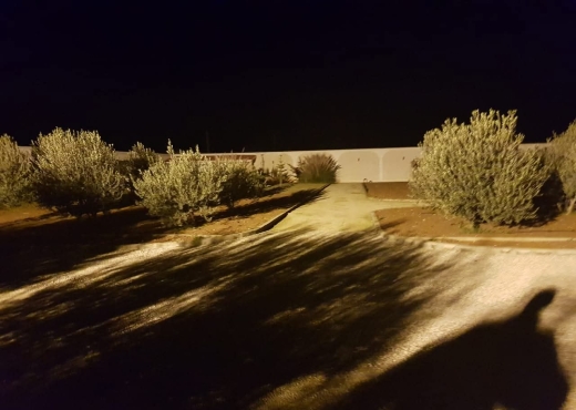 A Vendre ferme avec Villa à Sidi Thabet - Bien immobilier à {"id":1,"country_id":219,"name":"ARIANA","slug":"ariana"} - Image 3 - Agence Immobilière Maison Plus Elite