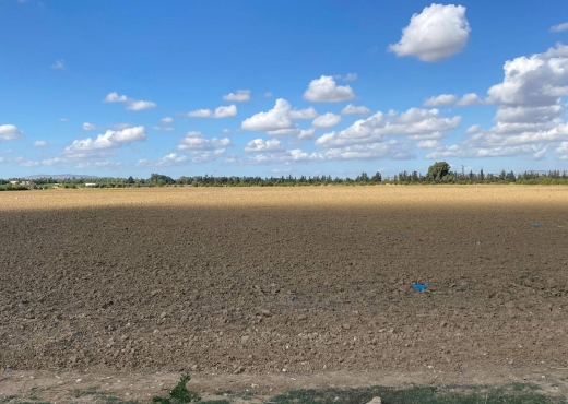 un superbe terrain agricole à sidi thabet - Bien immobilier à {"id":1,"country_id":219,"name":"ARIANA","slug":"ariana"} - Image 2 - Agence Immobilière Maison Plus Elite