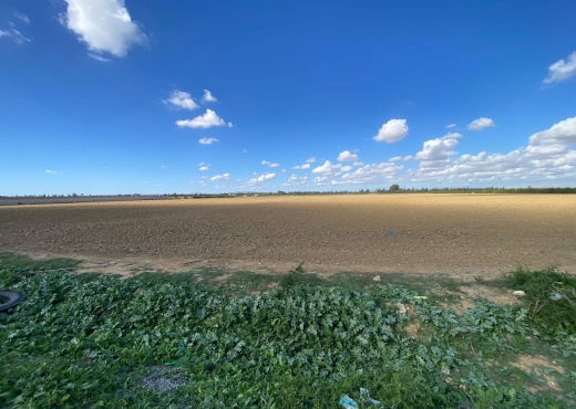 un superbe terrain agricole à sidi thabet - Bien immobilier à {"id":1,"country_id":219,"name":"ARIANA","slug":"ariana"} - Image 3 - Agence Immobilière Maison Plus Elite