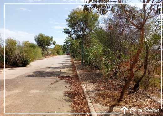 un lot de terrain viabilisé à raoued