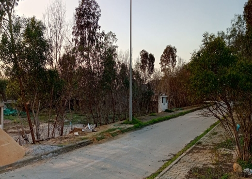 à vendre à lotissement les flamants roses