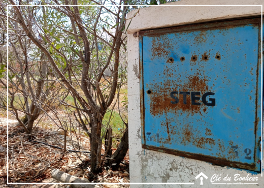 un lot de terrain viabilisé à raoued - Bien immobilier à {"id":1,"country_id":219,"name":"ARIANA","slug":"ariana"} - Agence Immobilière immo\'in