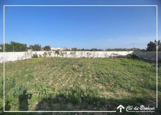 un superbe terrain  à chotrana 2 - Bien immobilier à {"id":1,"country_id":219,"name":"ARIANA","slug":"ariana"} - Image 3 - Agence Immobilière Maison Plus Elite