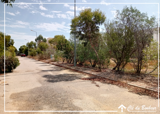 un lot de terrain viabilisé à raoued - Bien immobilier à {"id":1,"country_id":219,"name":"ARIANA","slug":"ariana"} - Image 4 - Agence Immobilière Maison Plus Elite