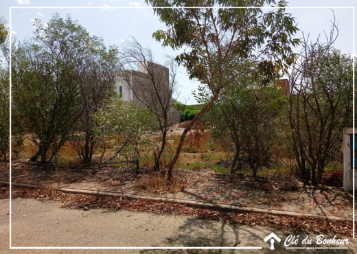 un lot de terrain viabilisé à raoued - Bien immobilier à {"id":1,"country_id":219,"name":"ARIANA","slug":"ariana"} - Image 2 - Agence Immobilière Maison Plus Elite