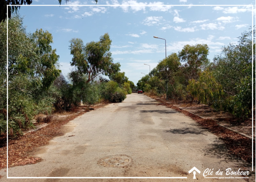 un lot de terrain viabilisé à raoued - Bien immobilier à {"id":1,"country_id":219,"name":"ARIANA","slug":"ariana"} - Image 3 - Agence Immobilière Maison Plus Elite